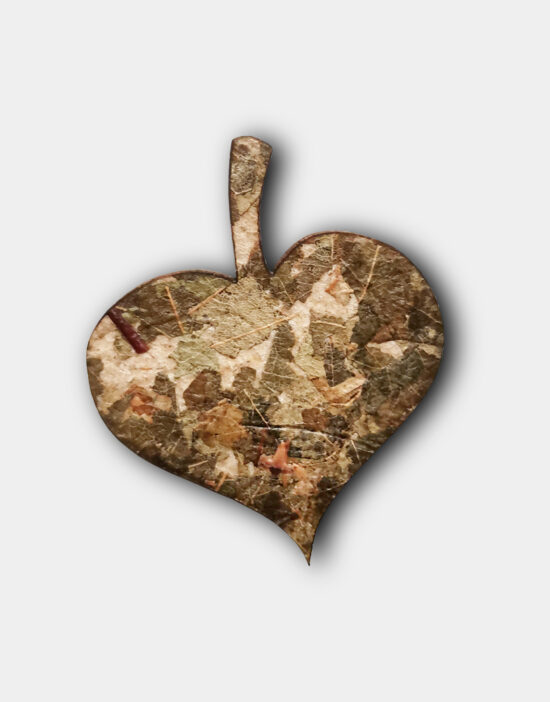 brož lípa- list - lesakus