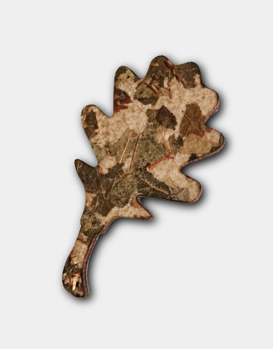 brož dub- list - lesakus