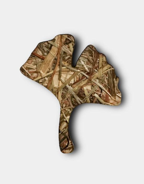 brož gingo- seno - lesakus