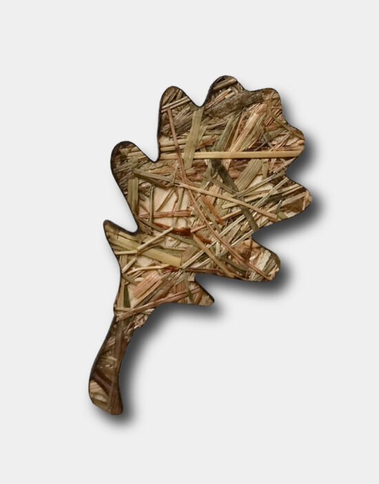 brož dub- seno - lesakus